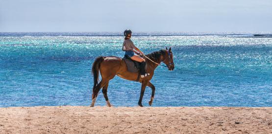 Jízda na koni, Mauricius