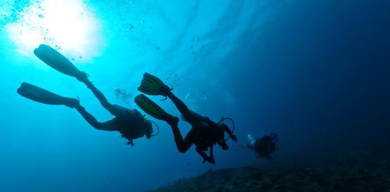 Potápění a šnorchlování na ostrově Réunion