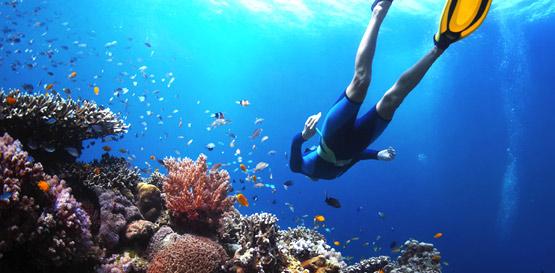 Potápění a šnorchlování na ostrově Réunion